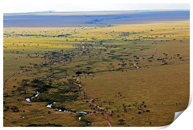 Serengeti Landscape Print by Tony Murtagh