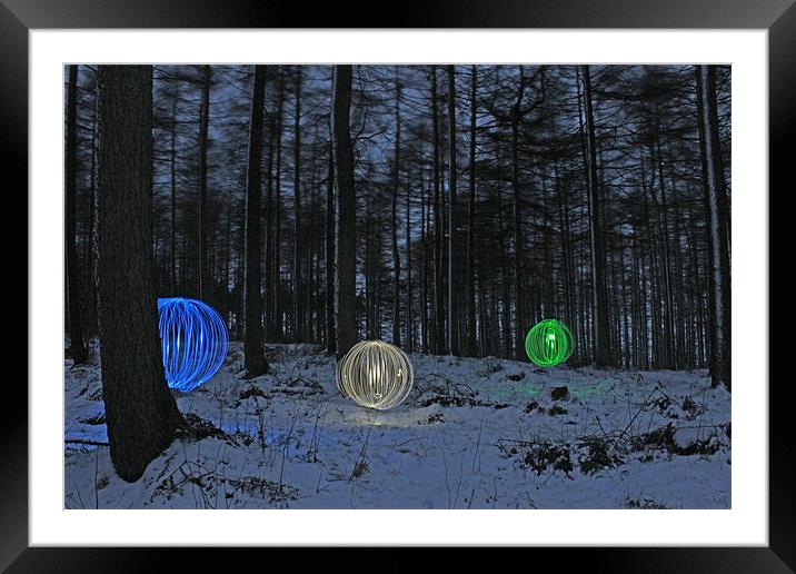 Forest Lights Framed Mounted Print by Gavin Wilson