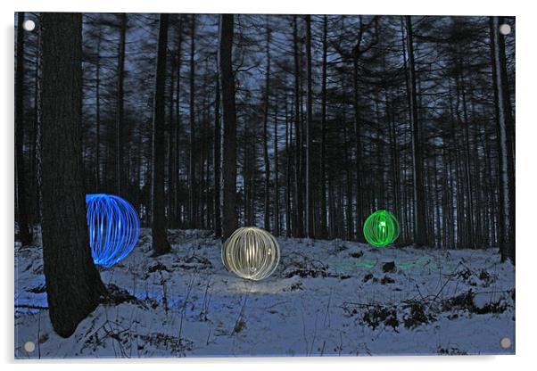 Forest Lights Acrylic by Gavin Wilson