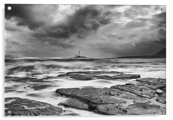 Stormy day, St Marys Lighthouse Acrylic by Tom Hibberd