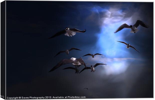 From The Heavens Canvas Print by Daves Photography