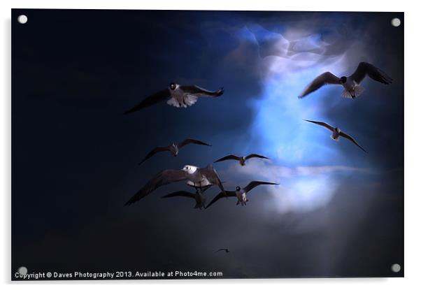 From The Heavens Acrylic by Daves Photography
