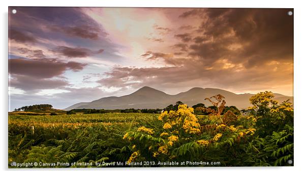 Sunset over the Mournes Acrylic by David McFarland