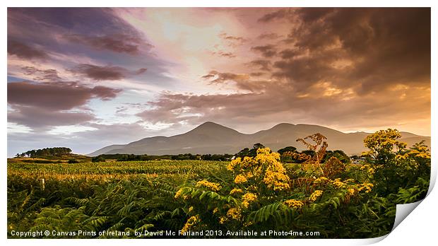 Sunset over the Mournes Print by David McFarland
