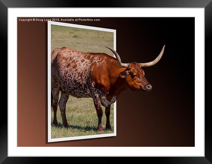 Out of Frame Longhorn Framed Mounted Print by Doug Long