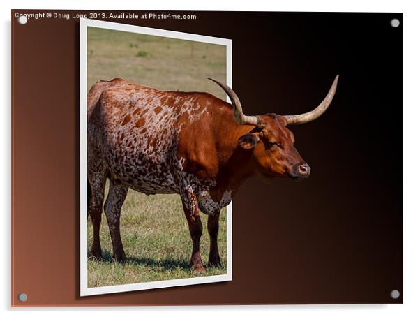 Out of Frame Longhorn Acrylic by Doug Long