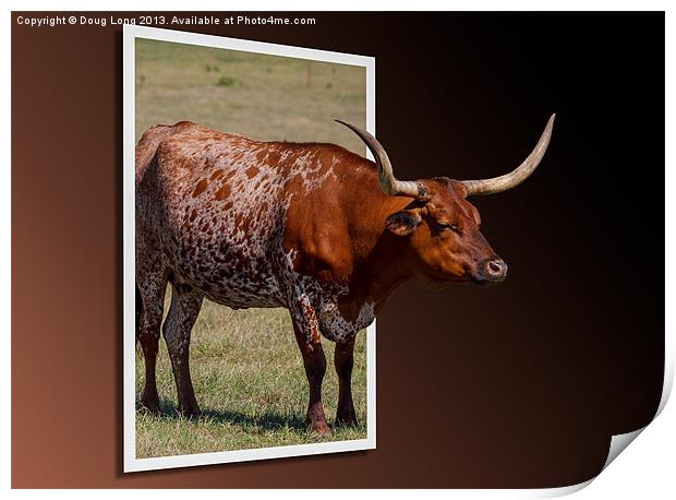 Out of Frame Longhorn Print by Doug Long