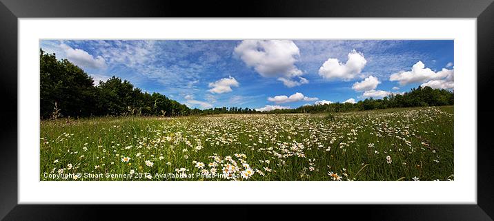 Flower Meadow Framed Mounted Print by Stuart Gennery