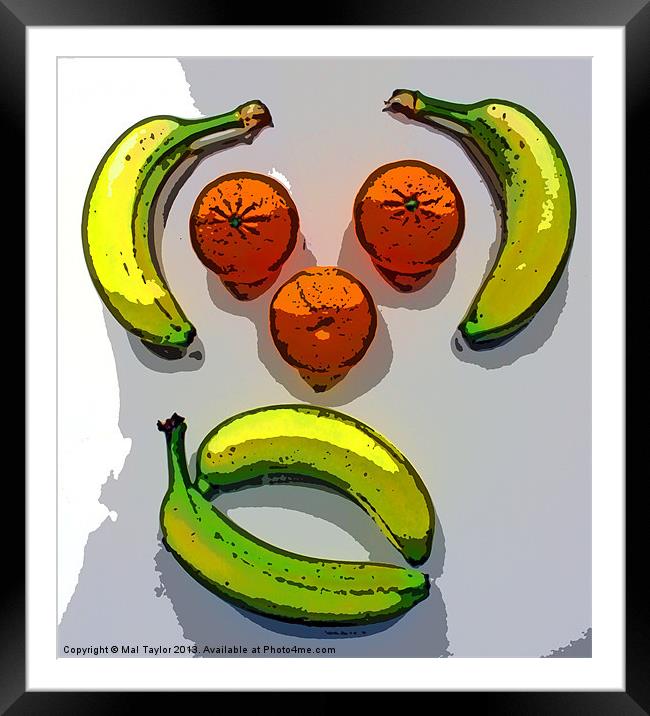 MONKEY FRUIT (POSTERIZED) Framed Mounted Print by Mal Taylor Photography