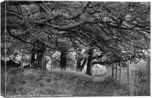 Under The Trees BW Canvas Print by Julie Coe
