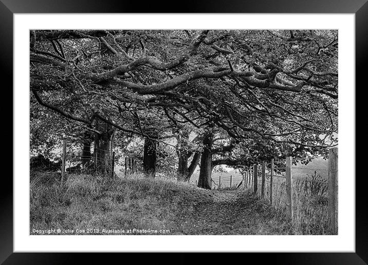 Under The Trees BW Framed Mounted Print by Julie Coe