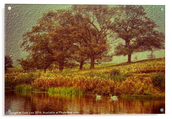 2 Swans-A-Swimming Acrylic by Julie Coe