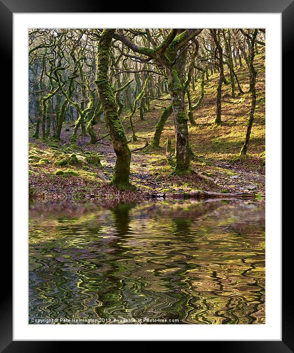 Badgeworthy woods Framed Mounted Print by Pete Hemington