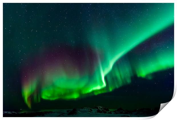 Northern lights over Laukvik Print by Thomas Schaeffer