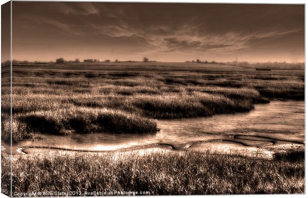 Marshland Canvas Print by Kim Slater