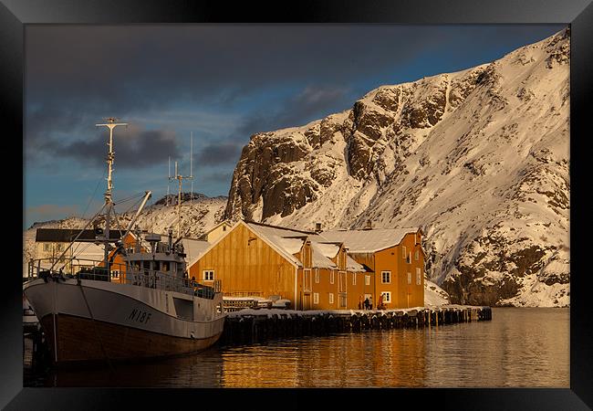 Nusfjord on Lofoten Islands Framed Print by Thomas Schaeffer