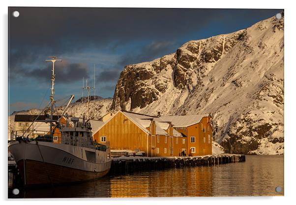 Nusfjord on Lofoten Islands Acrylic by Thomas Schaeffer