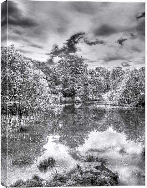Bookham Common Canvas Print by Clive Eariss