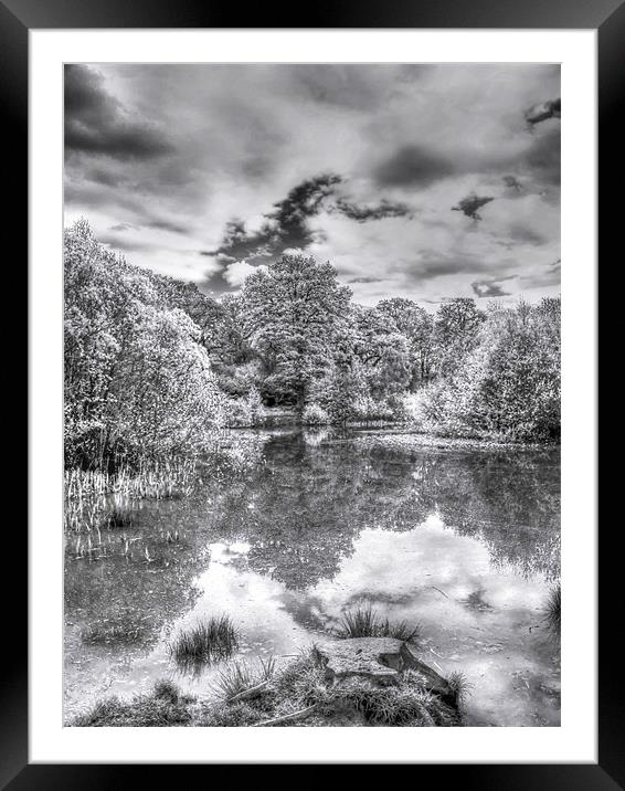Bookham Common Framed Mounted Print by Clive Eariss