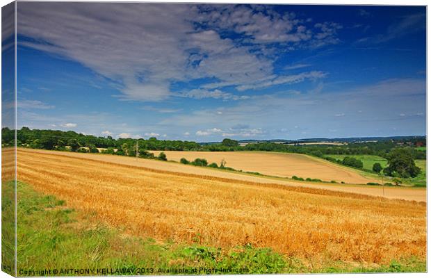 MEON VALLEY LANDSCAPE Canvas Print by Anthony Kellaway