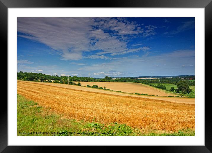 MEON VALLEY LANDSCAPE Framed Mounted Print by Anthony Kellaway