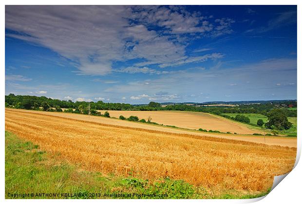 MEON VALLEY LANDSCAPE Print by Anthony Kellaway