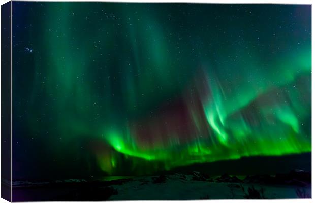 Northern lights over Laukvik Canvas Print by Thomas Schaeffer