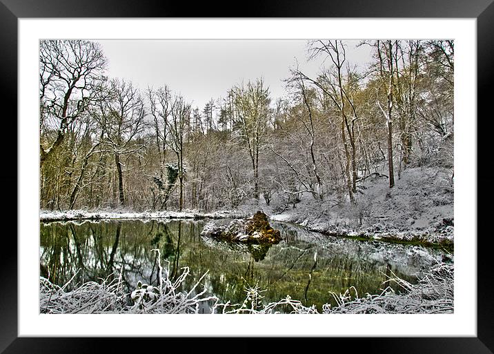 Hackfall in Winter Framed Mounted Print by Oliver Porter
