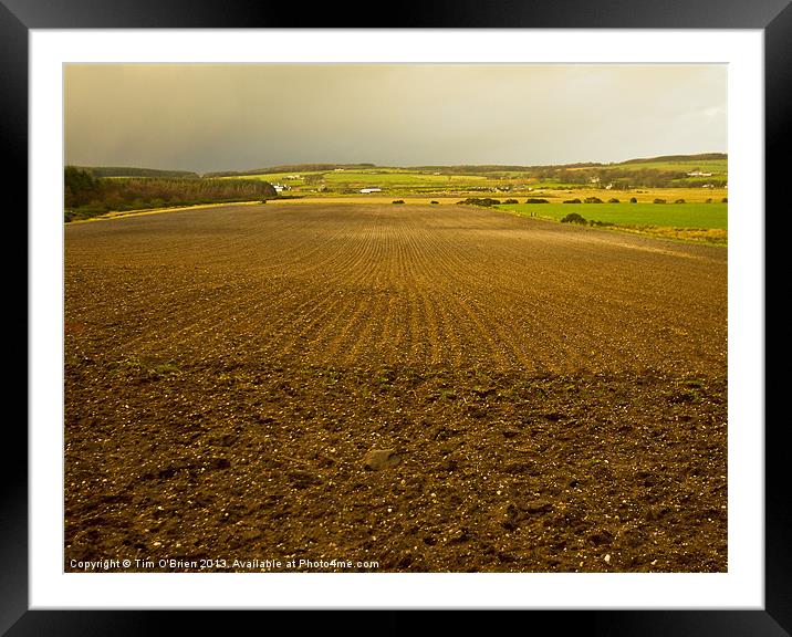 Ploughed Field in Winter Light Framed Mounted Print by Tim O'Brien