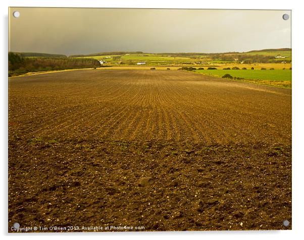 Ploughed Field in Winter Light Acrylic by Tim O'Brien