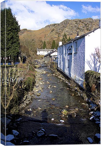 Church Beck at Coniston Canvas Print by Tom Gomez