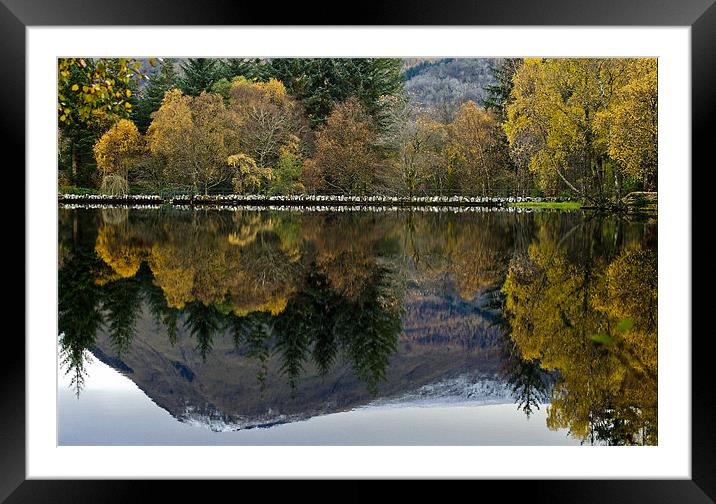 Glencoe Loch Mountain and Trees Framed Mounted Print by Tim O'Brien
