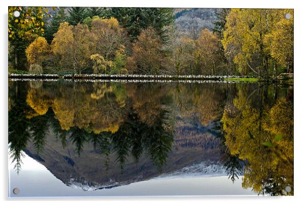 Glencoe Loch Mountain and Trees Acrylic by Tim O'Brien