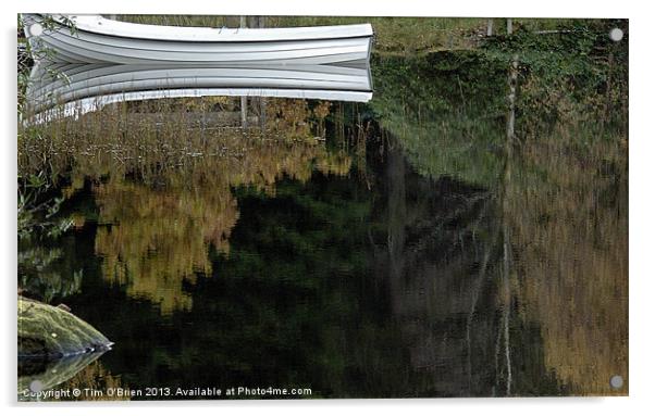 Reflections of Boat and Trees Acrylic by Tim O'Brien