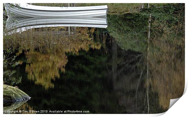 Reflections of Boat and Trees Print by Tim O'Brien