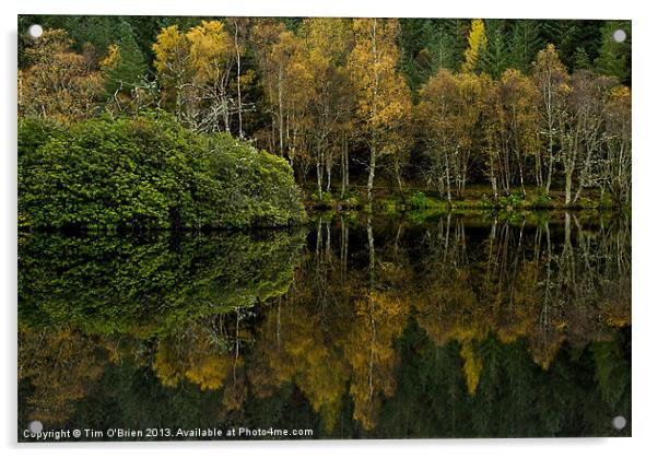 Glencoe Loch Reflections Acrylic by Tim O'Brien