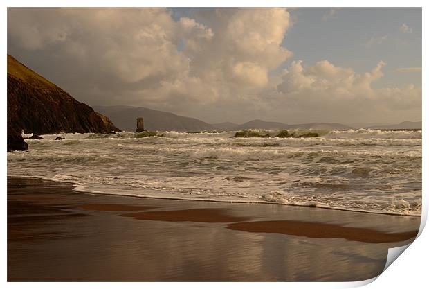 Kinard beach Print by barbara walsh