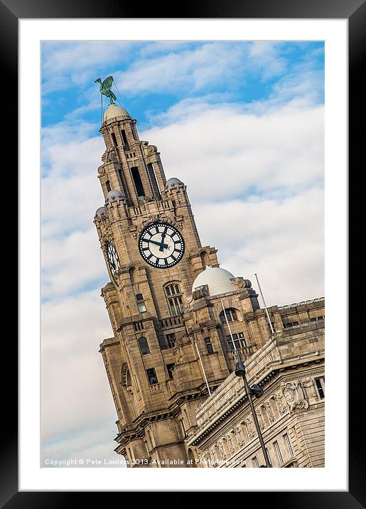 The Liver Bird Framed Mounted Print by Pete Lawless