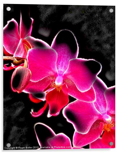 Neon Orchid Acrylic by Roger Butler