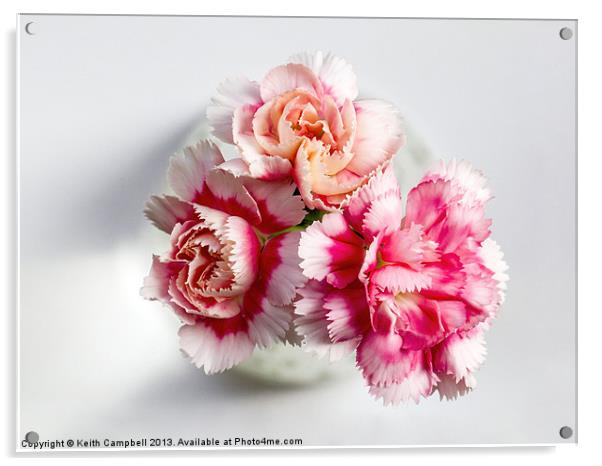 Carnations Acrylic by Keith Campbell
