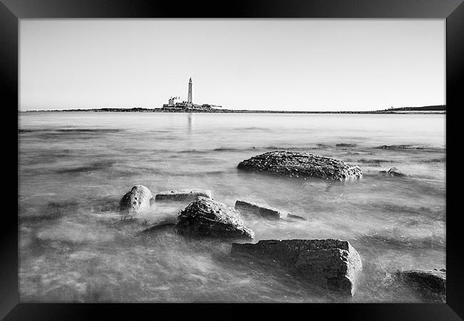 St Marys Lighthouse Framed Print by Tom Hibberd