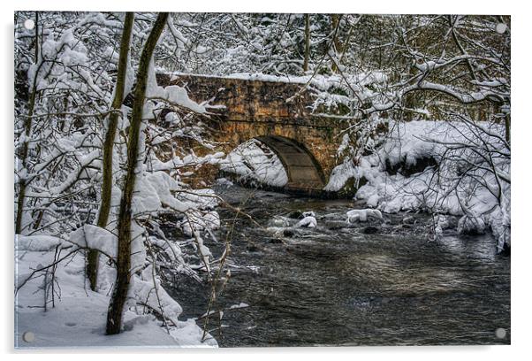 Snow Bridge Acrylic by Ian Mitchell