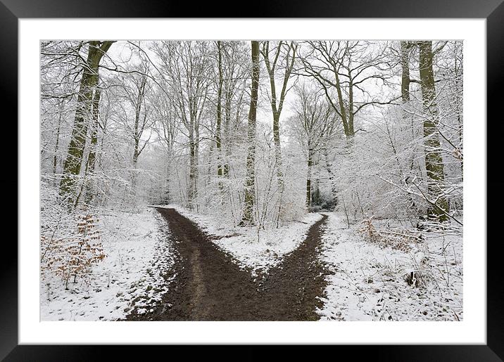 The road less travelled Framed Mounted Print by Gary Eason