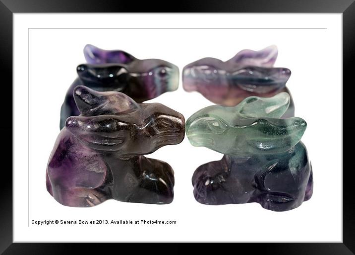 Four Rainbow Fluorite Rabbits Framed Mounted Print by Serena Bowles