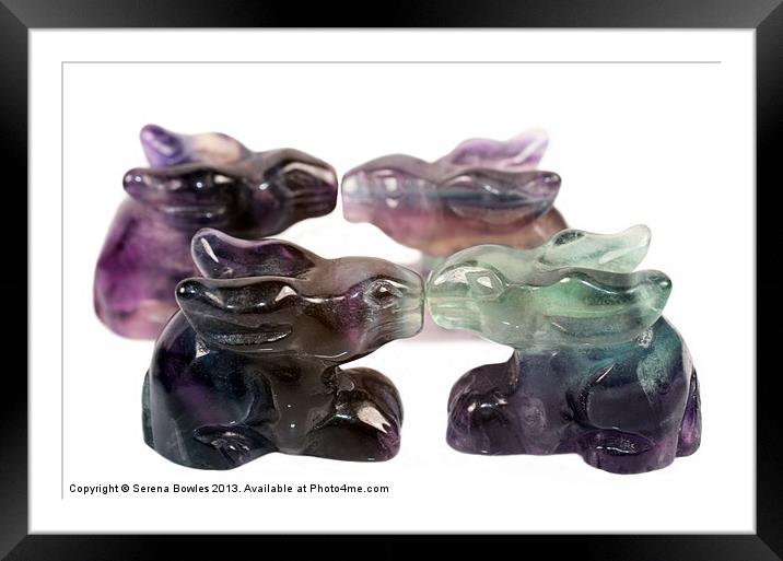 Four Rainbow Fluorite Rabbits Framed Mounted Print by Serena Bowles