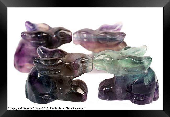 Four Rainbow Fluorite Rabbits Framed Print by Serena Bowles