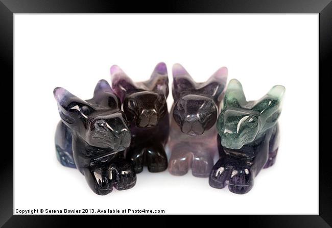 Four Rainbow Fluorite Rabbits Framed Print by Serena Bowles