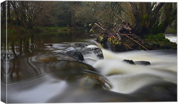 Dartmoor: The River Teign Canvas Print by Rob Parsons
