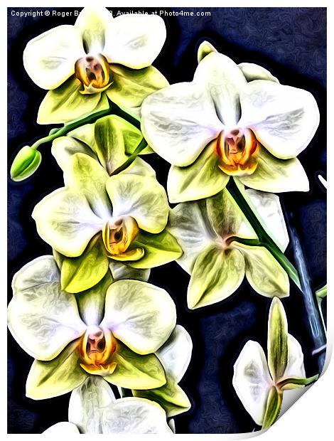 Yellow Orchids in Relief Print by Roger Butler