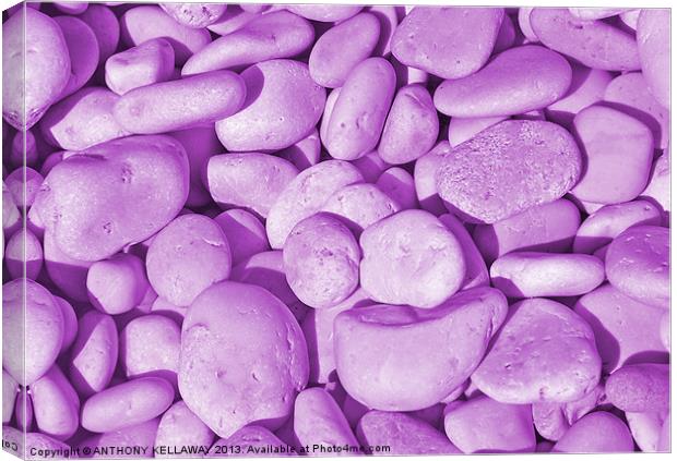 LILAC PEBBLES Canvas Print by Anthony Kellaway